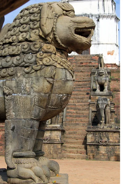 Lion and elephants — Stock Photo, Image