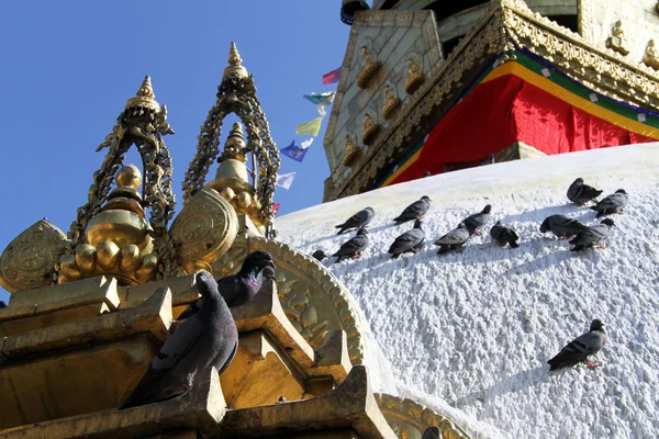 Uccelli e stupa — Foto Stock