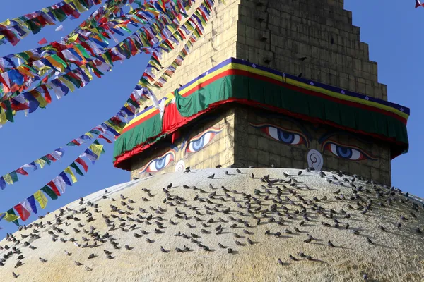Stupa and birds — Stock Photo, Image
