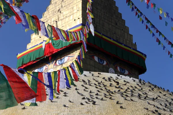 Gołębie i stupa — Zdjęcie stockowe