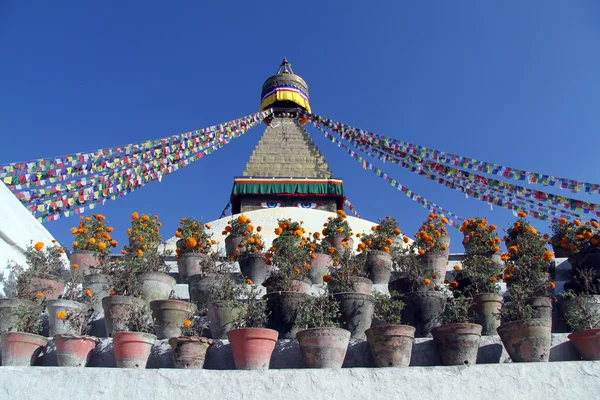Pots et stupa — Photo