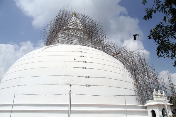 Beyaz stupa — Stok fotoğraf