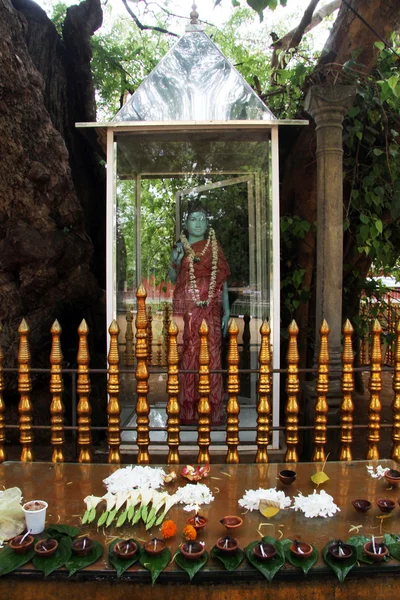 Buddha under tree — Stock Photo, Image