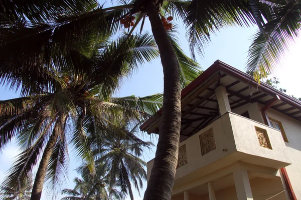 Balcony and tree — Stock Photo, Image