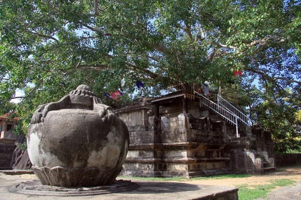 Isurumuniya rock tempel — Stockfoto