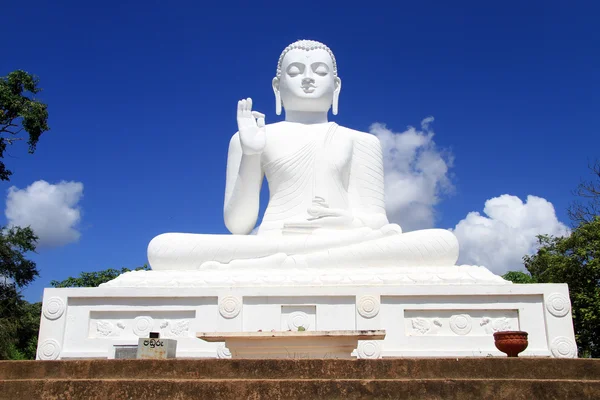 Witte buddha — Stockfoto