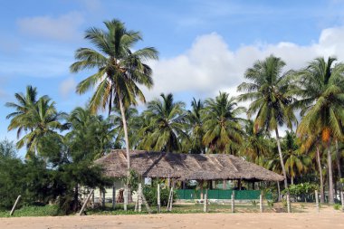 Ağaçların altında bina