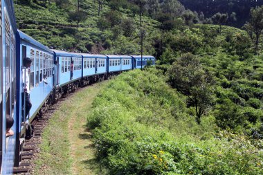 Mavi Tren