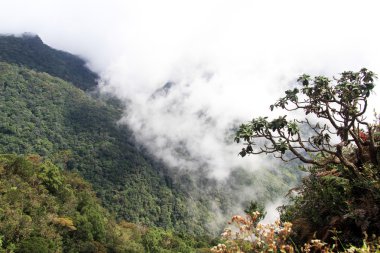 Dünyanın sonu göster