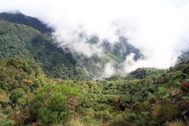 Dünyanın sonu göster