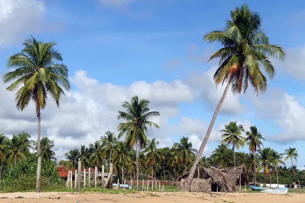 Barcos en la playa —  Fotos de Stock