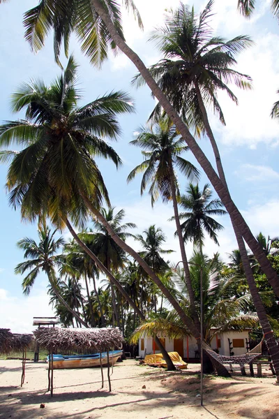 Upuveli beach — Stock Photo, Image