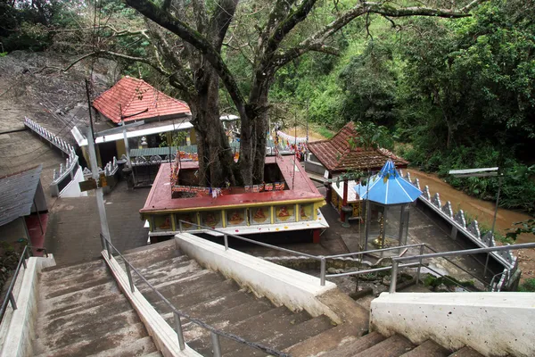 Árbol sagrado —  Fotos de Stock