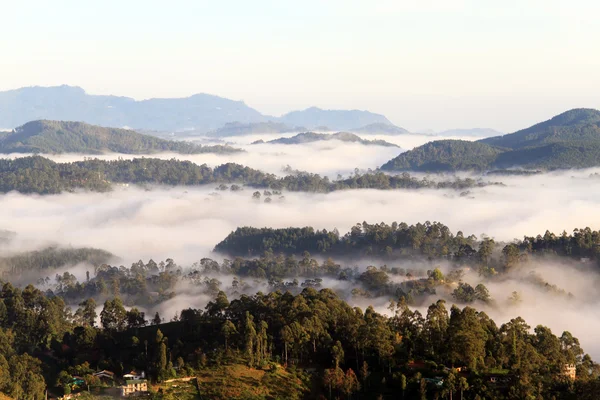 山区 — 图库照片