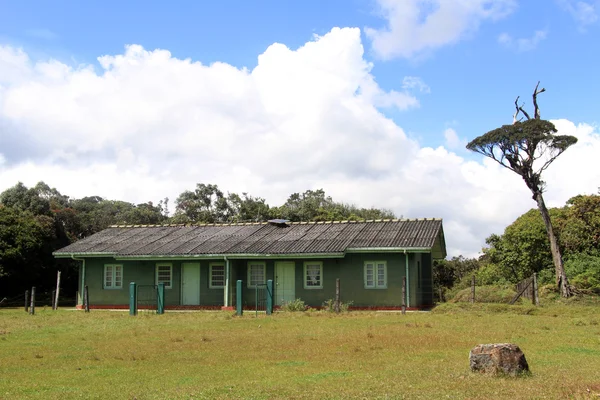 Edifício verde — Fotografia de Stock