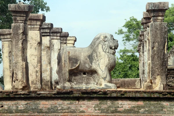 Leão e ruínas — Fotografia de Stock