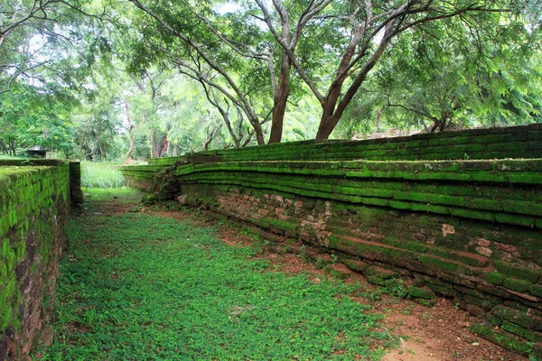 Paredes verdes — Fotografia de Stock