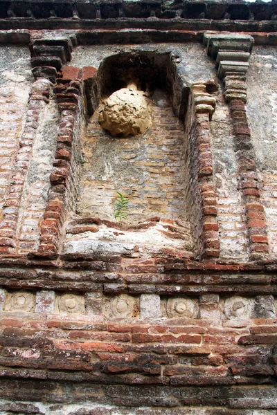 Nido sul santuario — Foto Stock