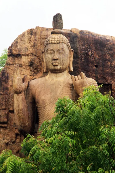 Tête de bouddha — Photo