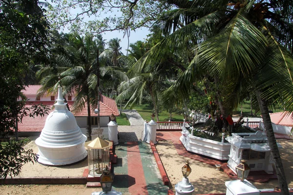 Trees and stupa — Stock Photo, Image