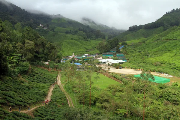 Village et plantation de thé — Photo