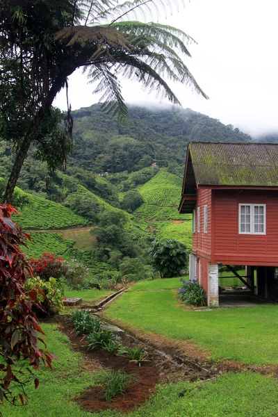 Casa de madeira — Fotografia de Stock