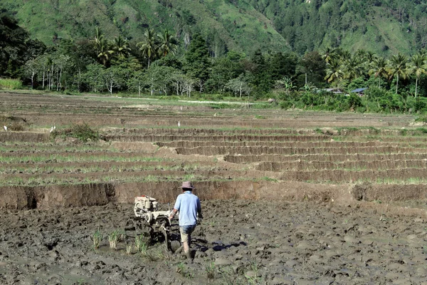 Homme sur le terrain — Photo