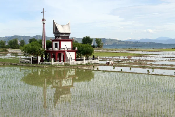 Tomba Batak e riso — Foto Stock