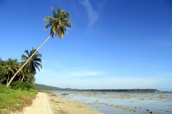 Passo a passo na praia — Fotografia de Stock