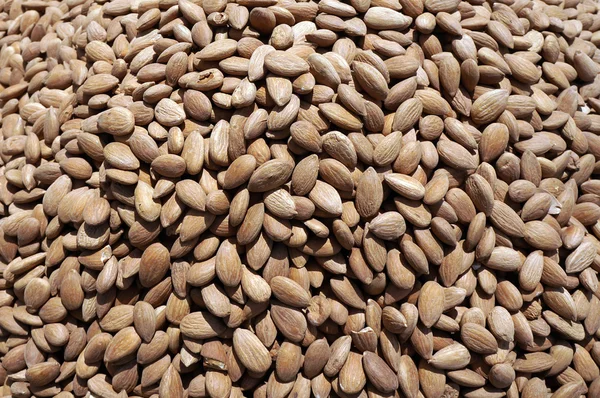 Dry almond nuts — Stock Photo, Image