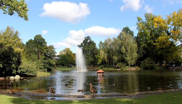 Park in autumn — Stock Photo, Image