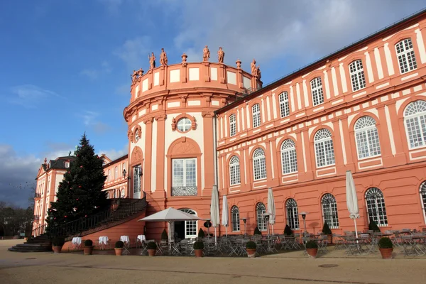 Biebrich palace in de winter — Stockfoto