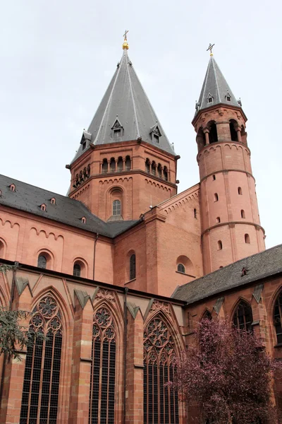 Mainz katedralen — Stockfoto