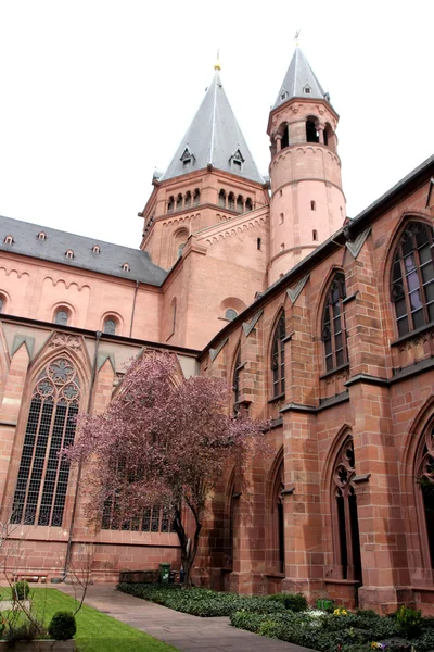 Mainz Cathedral — Stock Photo, Image