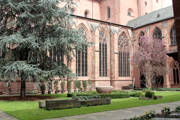 Detaljer av mainz domkyrkan — Stockfoto