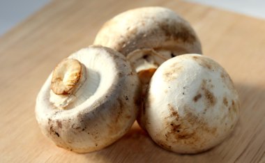 champignon mantarları