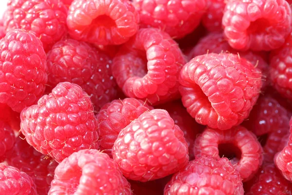 Framboises, macro — Photo