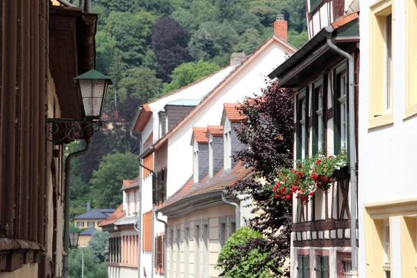 Besuch auf dem Heidelberg — Stockfoto