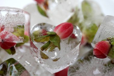 Sevgililer Günü geçmişi