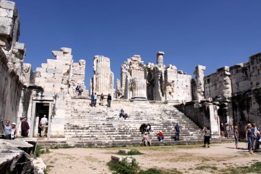 Apollo Tapınağı Didim, Türkiye