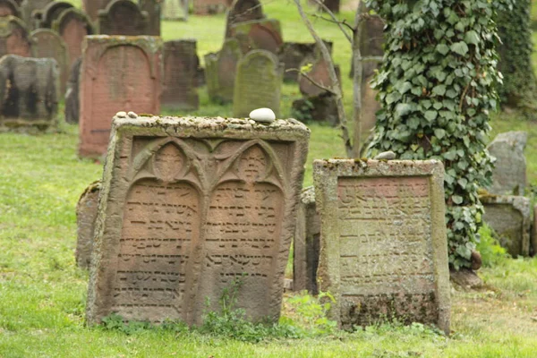 Jewish Cemetery Worms Heiliger Sand Worms Germany Oldest Surviving Jewish — стокове фото