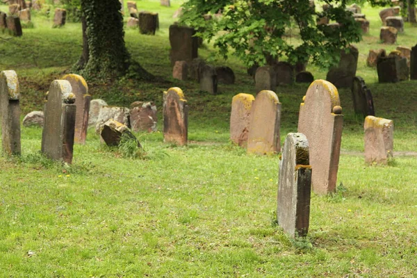 Solucanlar Daki Yahudi Mezarlığı Veya Almanya Daki Heiliger Kumu Avrupa — Stok fotoğraf