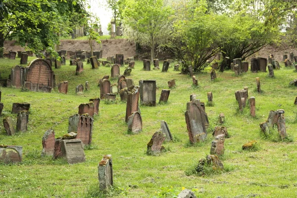 Jewish Cemetery Worms Heiliger Sand Worms Germany Oldest Surviving Jewish — стокове фото