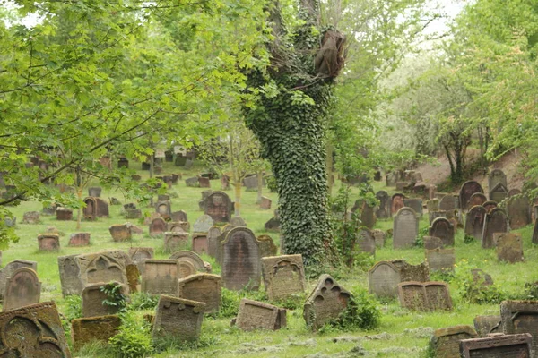 Jewish Cemetery Worms Heiliger Sand Worms Germany Oldest Surviving Jewish — Stockfoto
