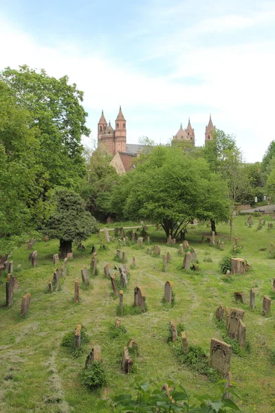 Jewish Cemetery Worms Heiliger Sand Worms Germany Oldest Surviving Jewish — Stockfoto