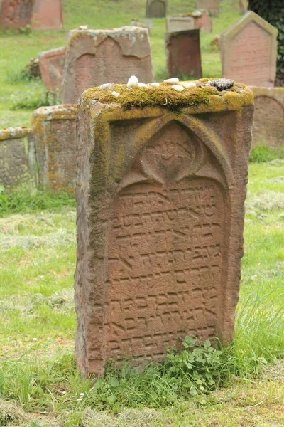 Jewish Cemetery Worms Heiliger Sand Worms Germany Oldest Surviving Jewish — стокове фото