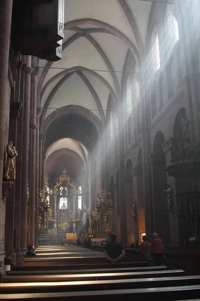Dentro Catedral Católica Romana San Pedro Ciudad Worms Alemania —  Fotos de Stock