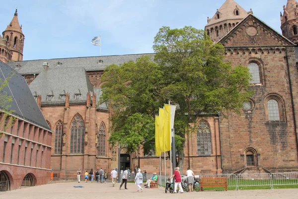 Maskar Katedralen Worms Stad Rheinland Pfalz Tyskland — Stockfoto