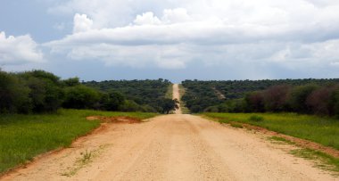 Namibya 'da çakıl yolu