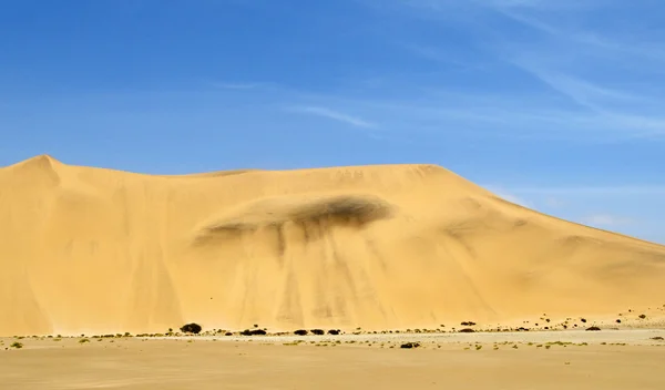 Sand dunes — Stock Photo, Image